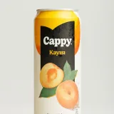 Meyve Suyu